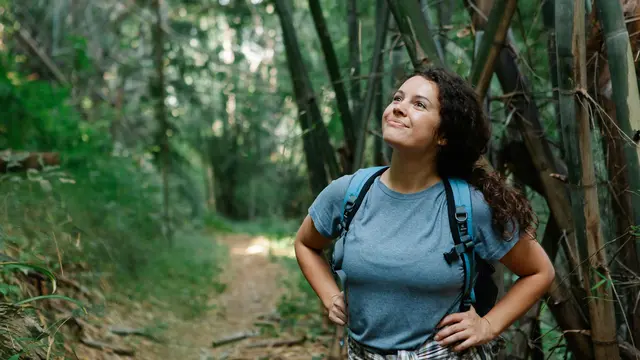 ilustrasi taurus di pegunungan