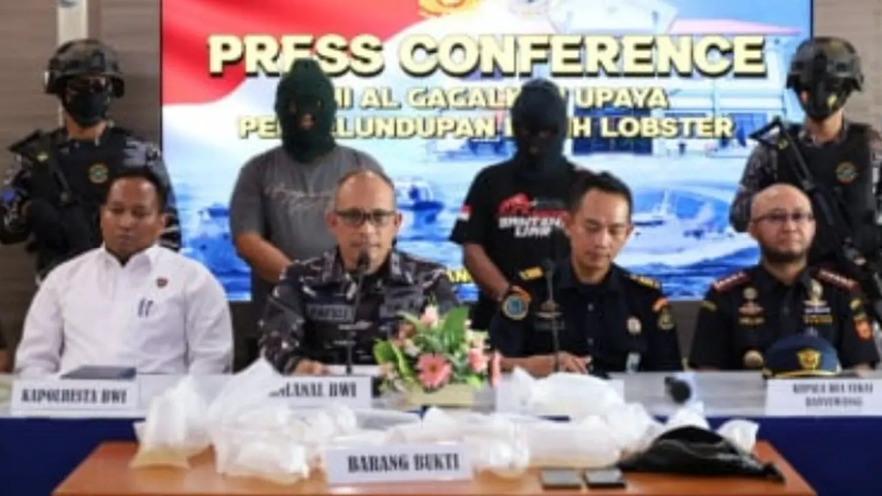 Danlanal Banyuwangi Letkol Laut (P) Hafidz menunjukan barang bukti ribuan benih lobster dalam konfensi pers di Lanal Banyuwangi (Istimewa)