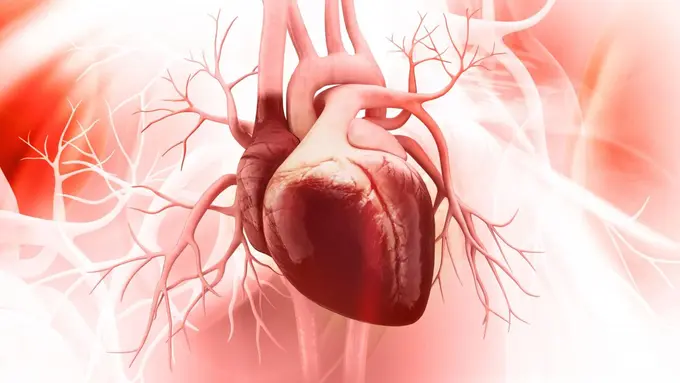 Cuma Cewek yang Punya Gejala Serangan Jantung Ini