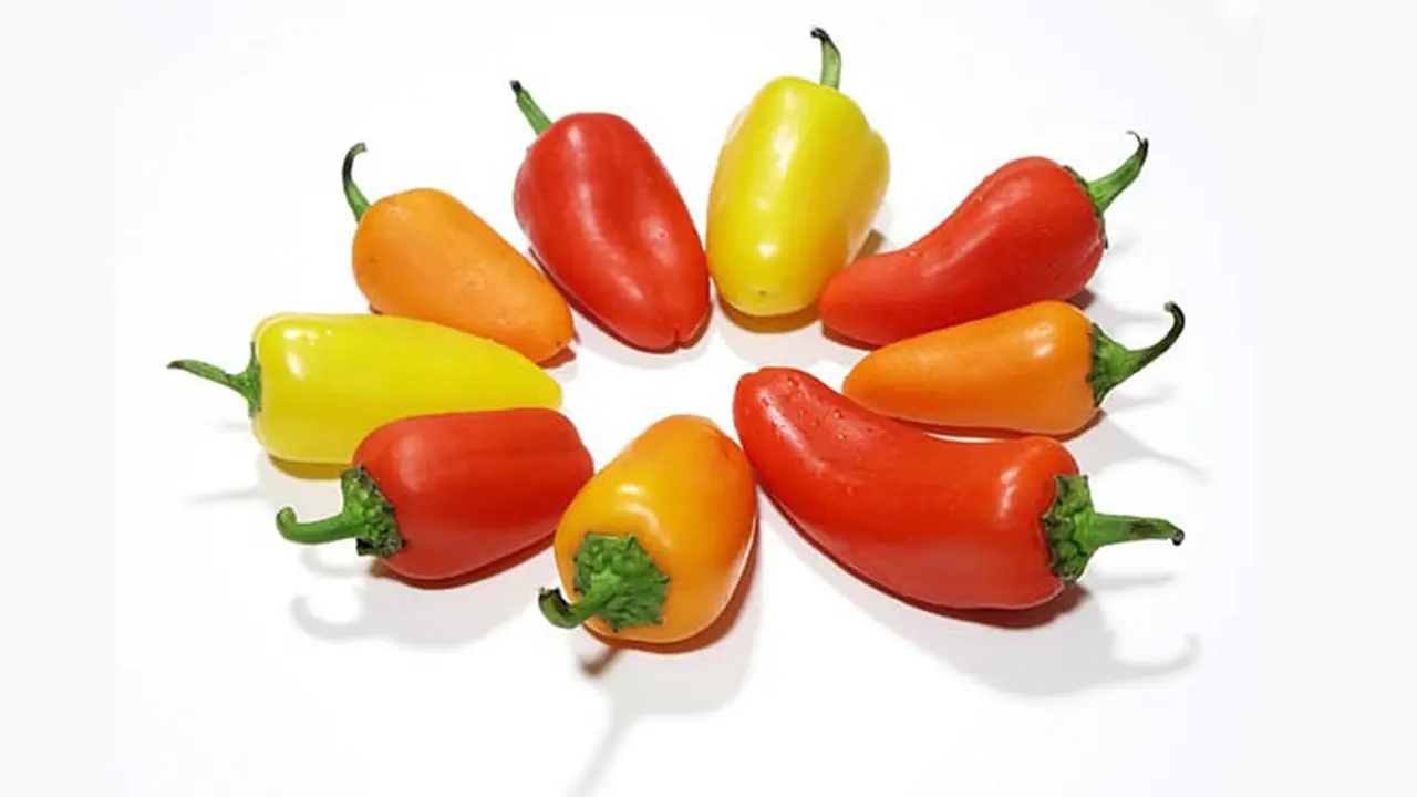 Dahsyatnya Manfaat Paprika untuk kesehatan, Apa Saja?
