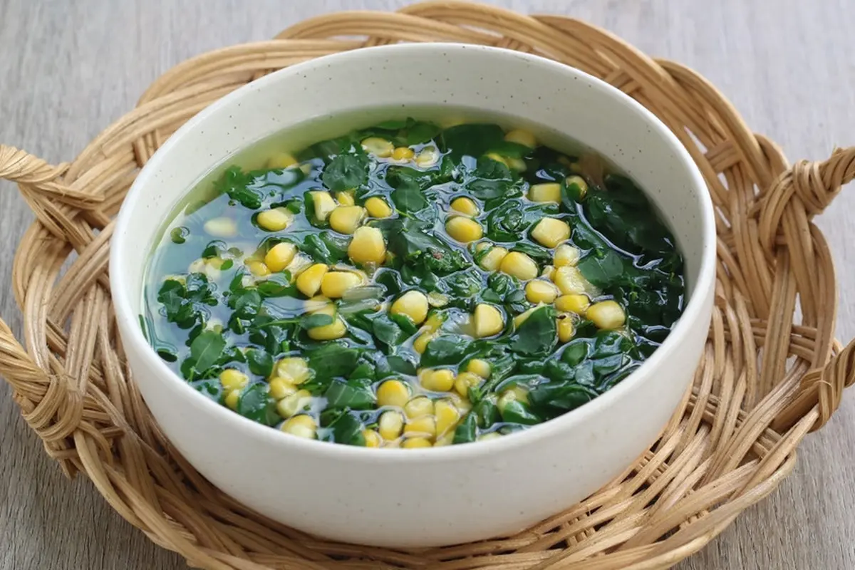 sayur daun katuk