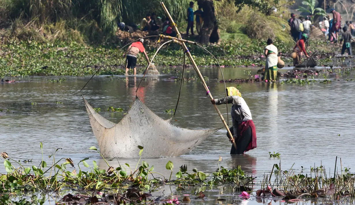 Penduduk desa menggunakan jaring ikan saat mengikuti acara memancing bersama dalam perayaan panen Bhogali Bihu di Danau Goroimari di Panbari, Assam, India, pada 14 Januari 2020. “Bhogali Bihu” menandai berakhirnya musim panen di bagian timur laut negara bagian Assam. (Xinhua/Str)
