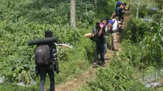 Pendaki Terjatuh ke Kawah Gunung Slamet