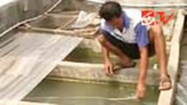 Panel Surya Tingkatkan Produksi Benih Ikan