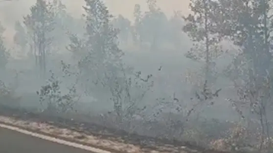 Anak Sekolah di Tengah Kepungan Asap Kebakaran Hutan Kalimantan