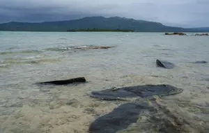 Kapal Feri Tenggelam di Vanuatu, 1 Tewas dan 30 Orang Lainnya Hilang