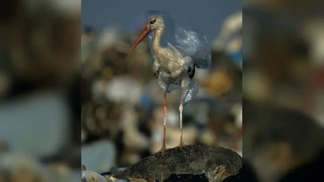 Tak hanya di Indonesia, penumpukan sampah plastik juga terjadi di beberapa negara di dunia.