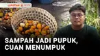 Anak muda di Sleman, Yogyakarta, sulap limbah buah dan sayur di pasar jadi pupuk. Pupuk itu kemudian dipakai untuk mengembangkan perkebunan melon kualitas super. Inilah Berani Berubah, Sampah Jadi Pupuk, Cuan Menumpuk.