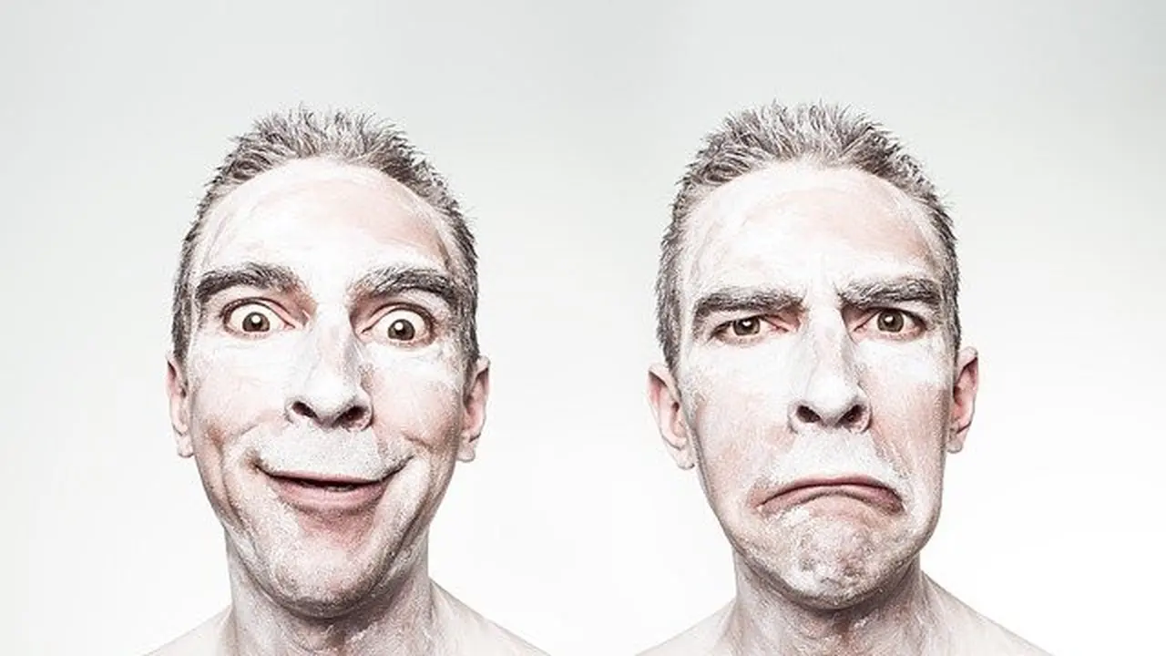 Bipolar (Image by Ryan McGuire from Pixabay)