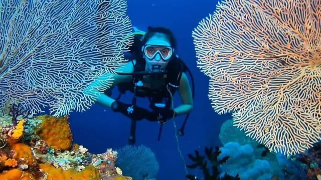 Gaya Widika Sidmore saat Diving, Lihat Pemandangan Bawah Laut