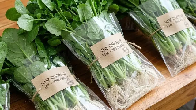 Membedakan Sayur Hidroponik dan Konvensional