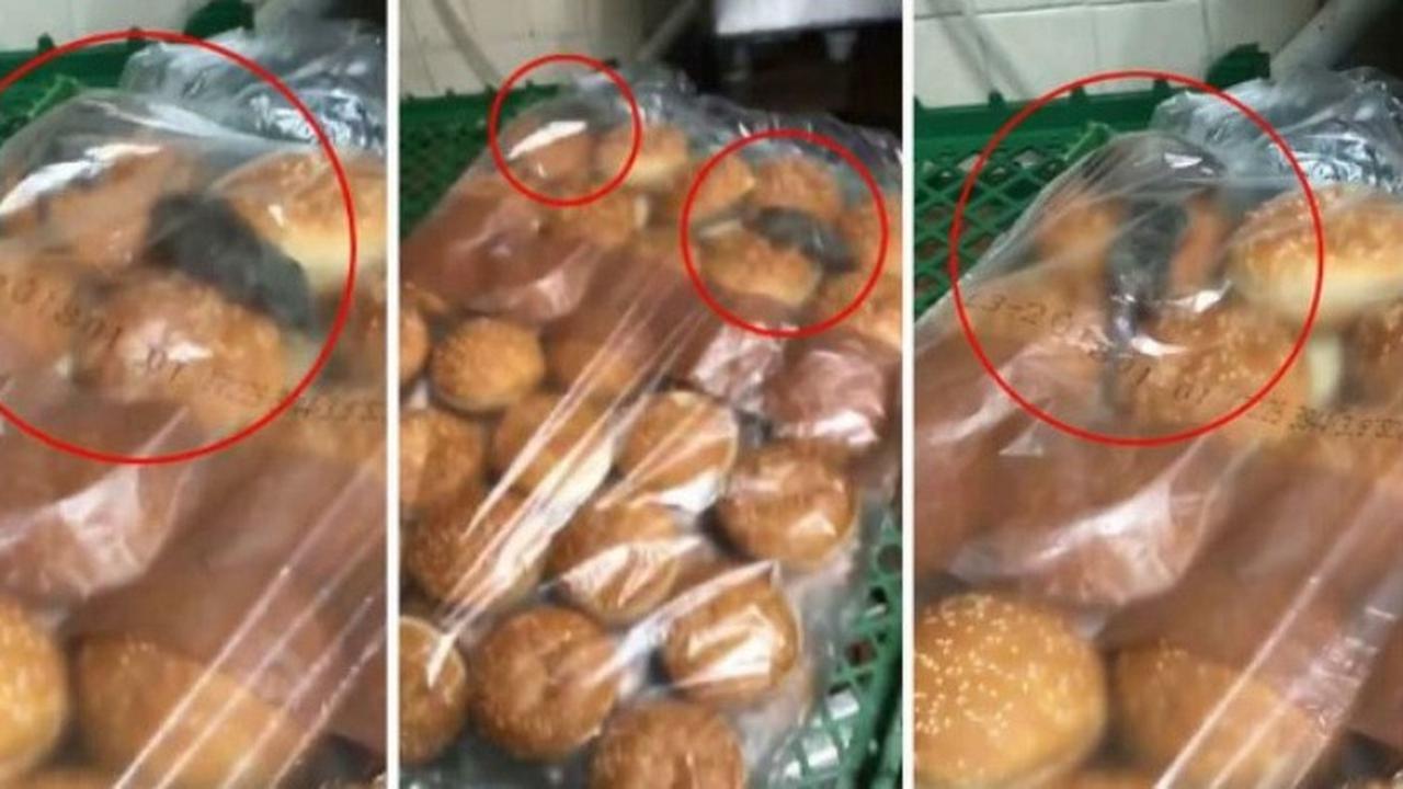 Jijik, ada tikus di plastik roti burger ini (elitereaders)