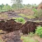 Kondisi lahan di Kabupaten Bengkalis yang hancur karena abrasi. (Liputan6.com/Istimewa)