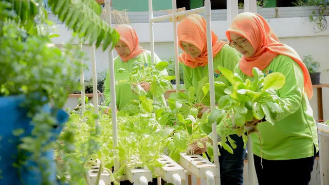 Poktan Dahlia RW 07 Cempaka Putih Barat Sulap Lahan Terbengkalai Jadi Lebih Indah dan Produktif
