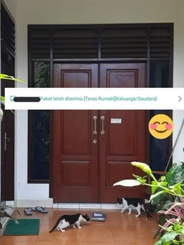 6 Potret Paket Diterima Kucing Ini Bikin Geleng Kepala