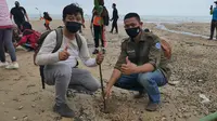 Jaga Ekosistem Perairan, 100 Bibit Pohon Mangrove Ditanam di Pantai Damba