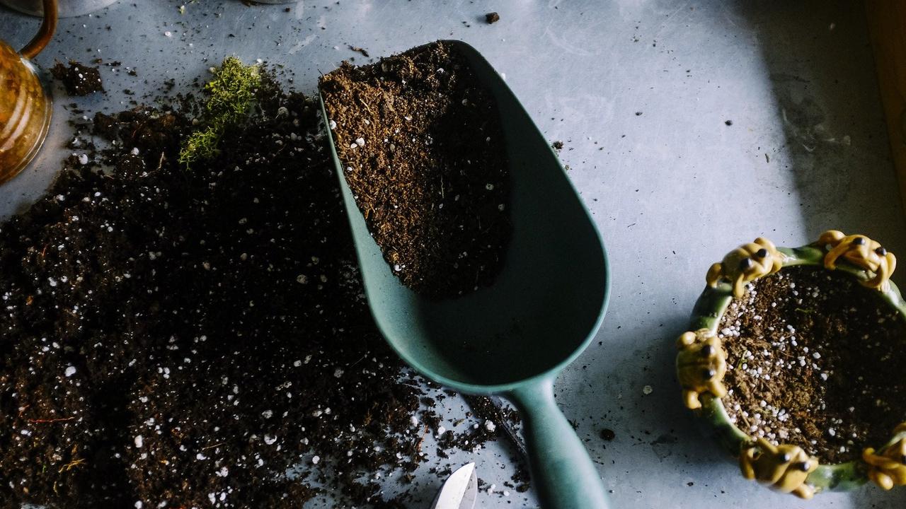 Tanah (sumber: Pixabay)