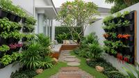 Model Desain Halaman Belakang Rumah Kecil dengan Pot Gantung Sayur dan Tanaman Rempah