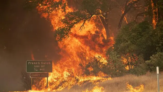 Kebakaran Hutan Mengerikan di California
