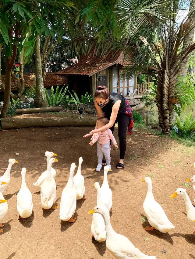 6 Potret Sederhana Aura Kasih Saat di Rumah, Gaya Bikin Rujak Curi Perhatian