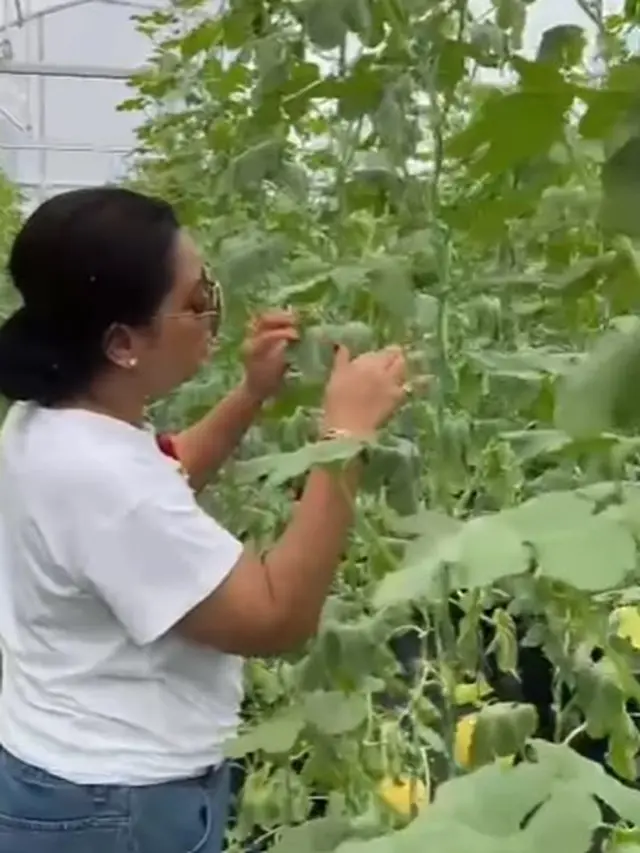 Mayangsari di kebun melon (Instagram/mayangsari_official)