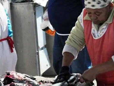 Ikan hasil tangkapan nelayan Kalk Bay, Cape Town, Afsel.