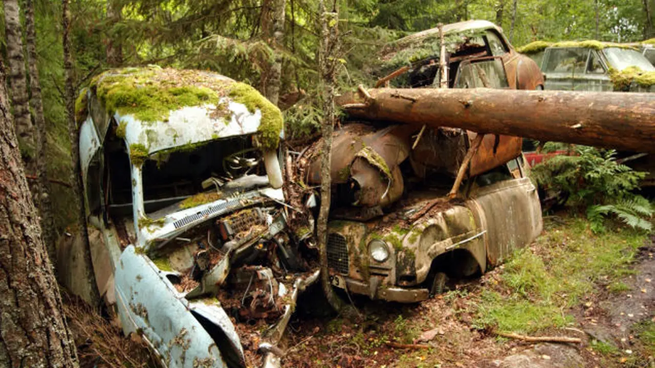 Mengintip Bangkai Ribuan Mobil di Hutan Belantara Eropa