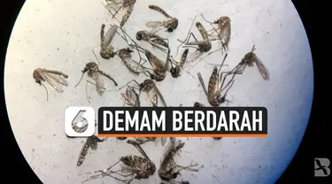 demam berdarah