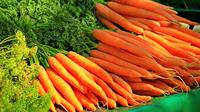 ilustrasi wortel  (sumber: Pixabay)