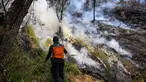 Petugas berupaya memadamkan kebakaran hutan di kawasan Taman Nasional Bromo Tengger Semeru (TNBTS), Kabupaten Probolinggo, Jawa Timur, Kamis (6/8/2026). (AFP/ Juni Kriswanto)