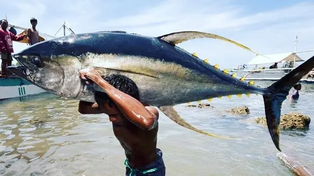 6 Potret Pemancing Dapat Ikan Lebih Besar dari Tubuhnya Ini Bikin Melongo