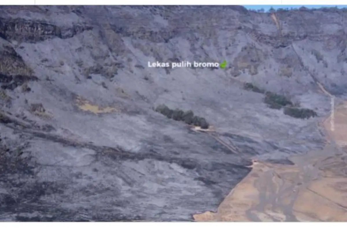 Bikin Miris, Viral Video Pemandangan di Savana Gunung Bromo Sebelum dan Sesudah Terbakar