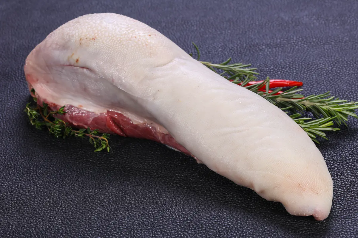 lidah sapi