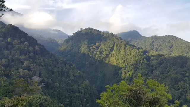 Palutungan.