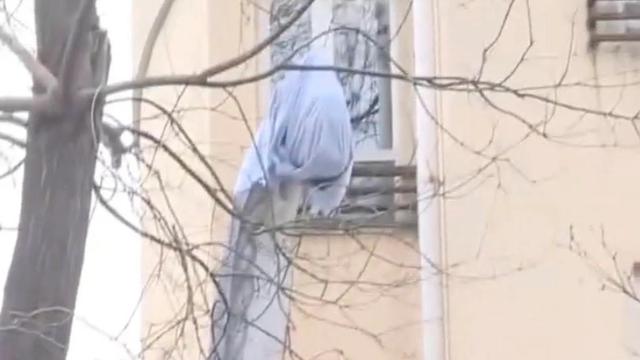 Patung Dinosaurus Raksasa