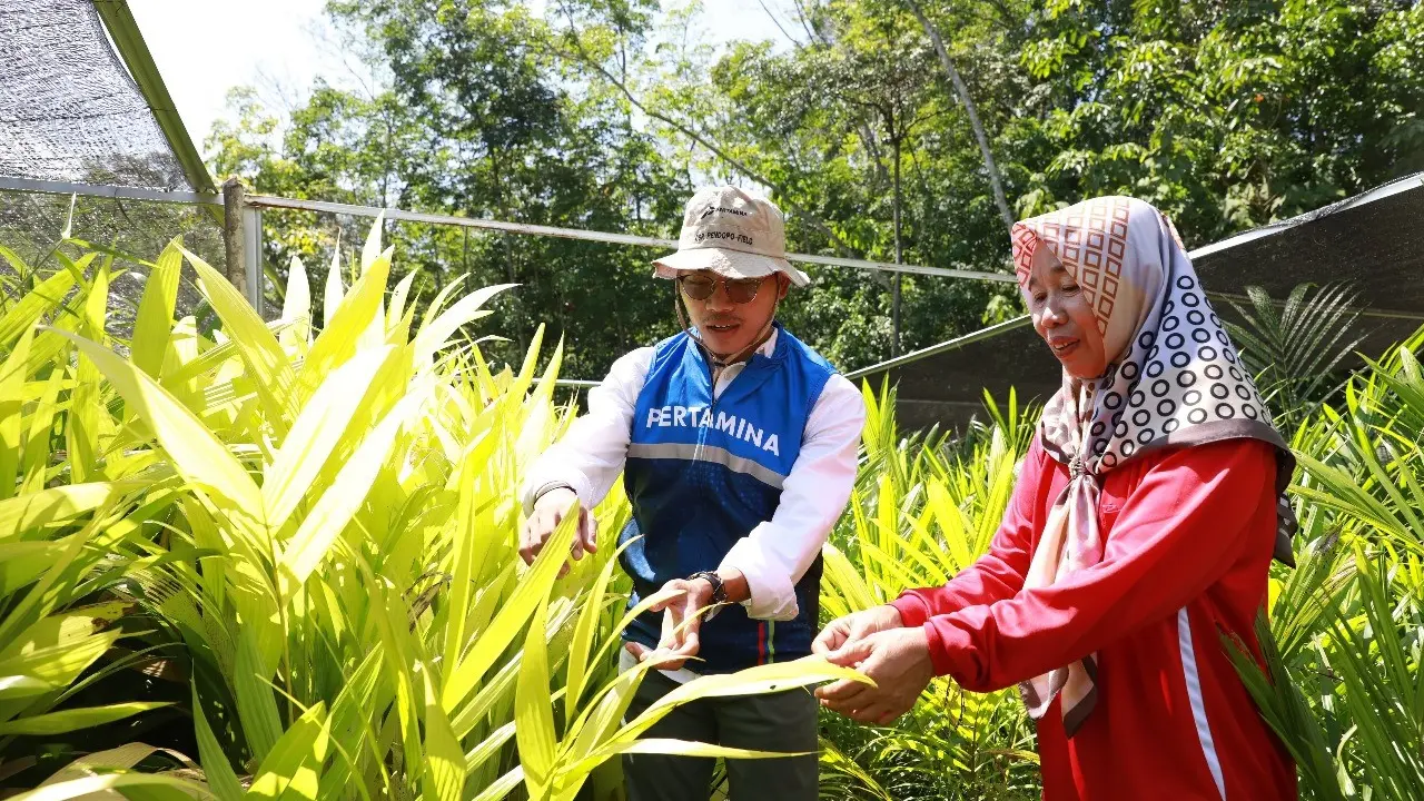 Pertamina EP Pendopo Field dan kelompok mitra binaan menggunakan ekstrak buah pinang sebagai korosi inhibitor dan mendorong ekspor pinang. (Dok PEP)