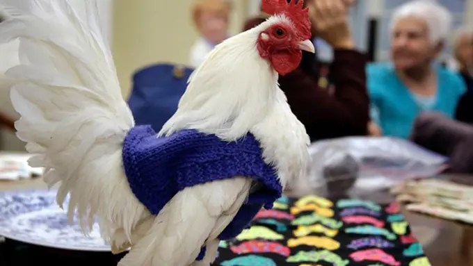 Photo: Copyright nypost.com