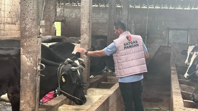 Satgas Pangan Polri Turun Gunung, Cek Industri Pengolahan Susu Segar di Jatim dan Jateng