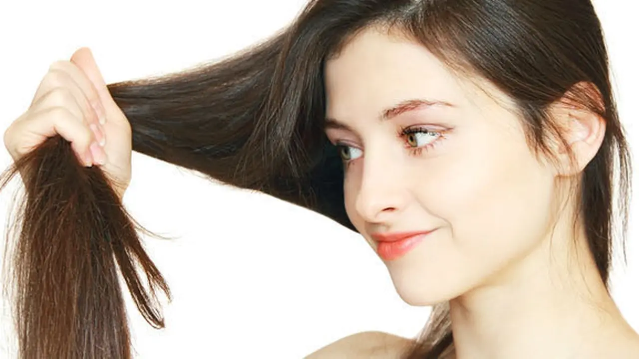 Copyright by Shutterstock.com