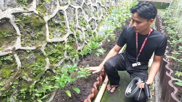 Perkebunan dan Peternakan dengan Sistem Integrated Farmin oleh Piramida Project.