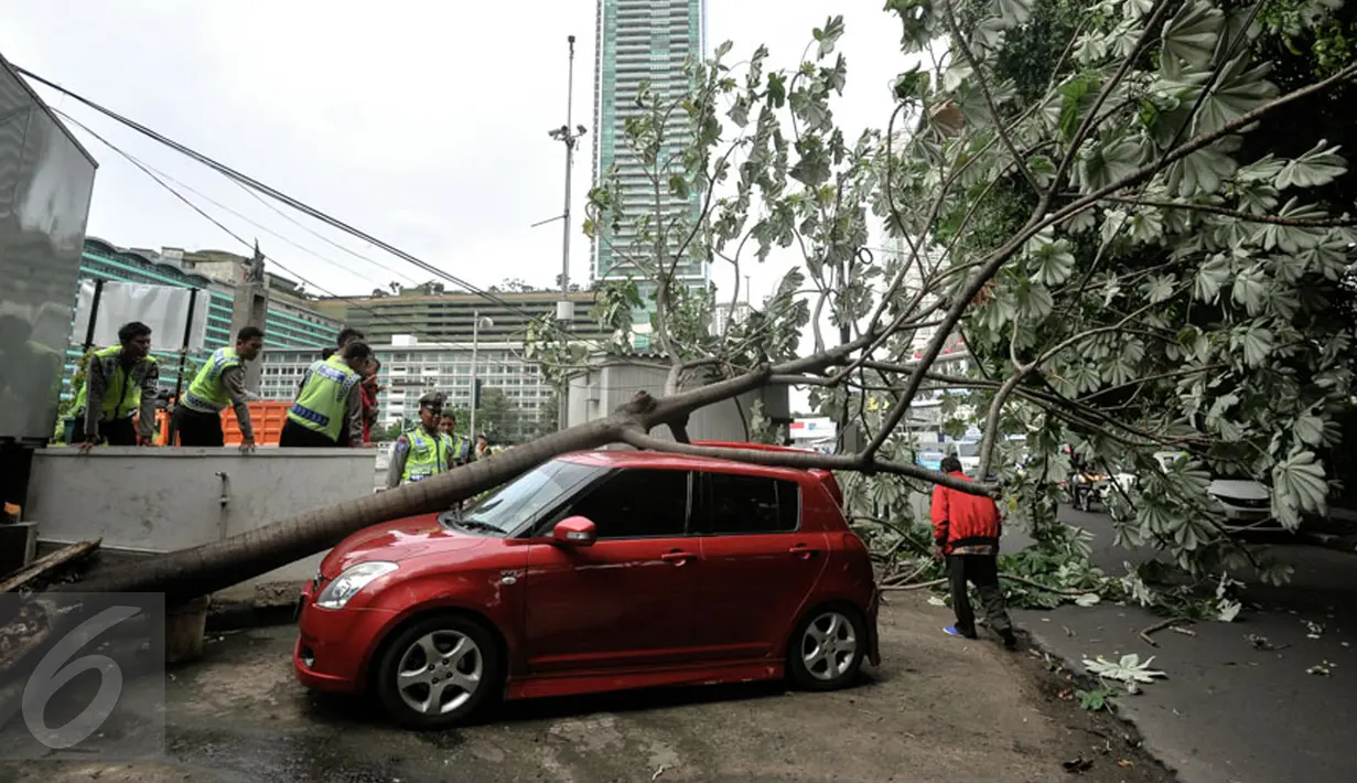 Petugas menyaksikan pohon tumbang yang menimpa dua mobil yang tengah terparkir di sebelah Pos Polisi Bundaran HI, Jakarta, Selasa (15/12). Tak ada korban jiwa akibat tumbangnya pohon yang disebabkan angin kencang tersebut. (Liputan6.com/Faizal Fanani)