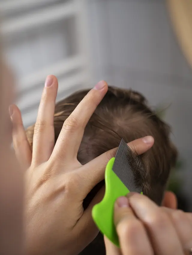 Jenis Sisir dan Kegunaannya