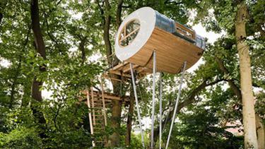 Rumah Pohon Desain Minimalis Modern Bikin Anda Pingin Tinggal