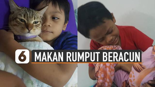 Video bocah menangis setelah mengetahui kucingnya makan rumput beracun viral di media sosial.