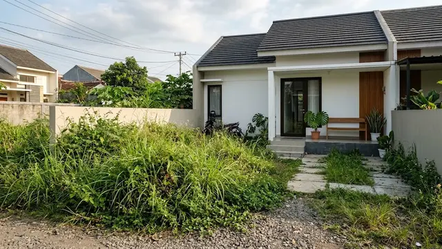 Mengatasi Rumput Liar yang Menjalar ke Halaman Rumah. (AI Generated)