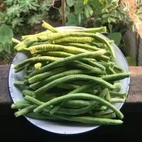 Ilustrasi/copyright shutterstock.com/Suchaya Tamtiengtrong