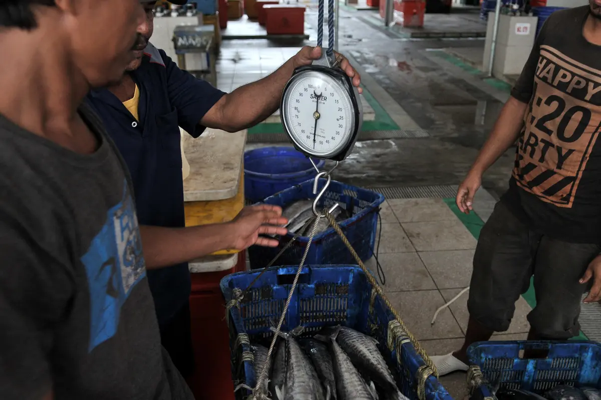Pasar Ikan Modern Muara Baru Mulai Ditempati Pedagang