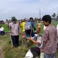 Petani di Kampung Samosir, Nagori Karang Bangun, Kecamatan Siantar, Kabupaten Simalungun, Sumatera Utara (Sumut) resah karena munculnya hama tikus