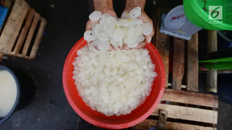 Berburu Kolang-kaling untuk Sajian Buka Puasa Saat Ramadan