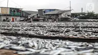 Di Balik Nikmatnya Ikan Asin, Ada Risiko Kesehatan yang Perlu Diwaspadai